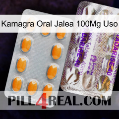 Kamagra Oral Jelly 100Mg Use new12